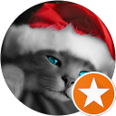 Chris M profile picture